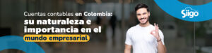 cuentas contables