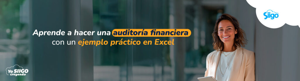 auditoria-financiera-ejemplo Auditoría financiera ejemplo.