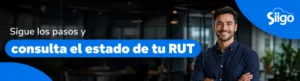 consulta-de-rut Consulta estado del RUT