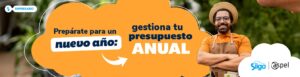 presupuesto anual